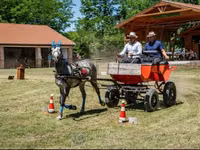 Caballo, Caballos — foto 5