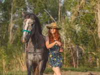 حصان, Altai horse — الصورة 3