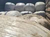 Silage Available. — 照片 4
