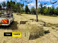 10PCS Organic Boma Rhodes Hay Bales — الصورة 1