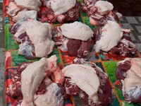 Carnero, Blackheaded Persian sheep — foto 8