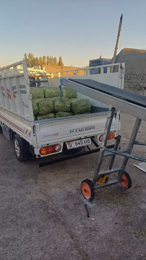 Продаю силос в мешках с зёрнами мелкого дробления в мешке 27-30кг.есть