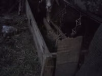 Кормушка для сельскохозяйственных животных (овцы, козы, телята) - — photo 2