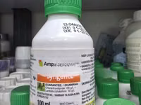 Ampligo 150 Zc Fungicide 100ml — 照片 1
