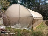 Green Houses — Foto 3