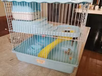 Akvarium balıqları ilə barter olunur.Uzunluğu 27,Eni 28, Hündürlüyü — foto 1