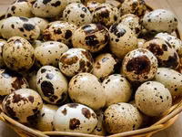 Premix pentru prepelițe ouătoare cu stimulator natural — 照片 1