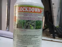 Lockdown 720ec Herbicide 1litre — Foto 2