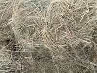 Hay for Sale. 190 Per Bale — photo 3