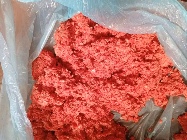 It pişik üçün