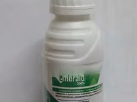 Emerald 200sl — الصورة 1