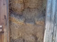 Boma Rhodes Hay for Sale — الصورة 2
