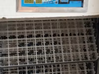 Electric Egg Incubator — Foto 5