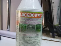 Lockdown 720ec Herbicide 1litre — Foto 3