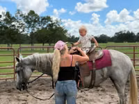 घोड़ी, Quarter Horse — फ़ोटो 5
