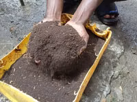 Black Soldier Fly Frass. ( Organic Fertilizer ) 25 KGS — 照片 1