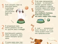 Корм для собак экструдированный — photo 2