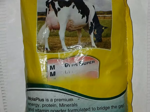 Molaplus Super Milk Booster