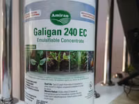 Galigan 240ec Selective Herbicide For Onions 1l — foto 2