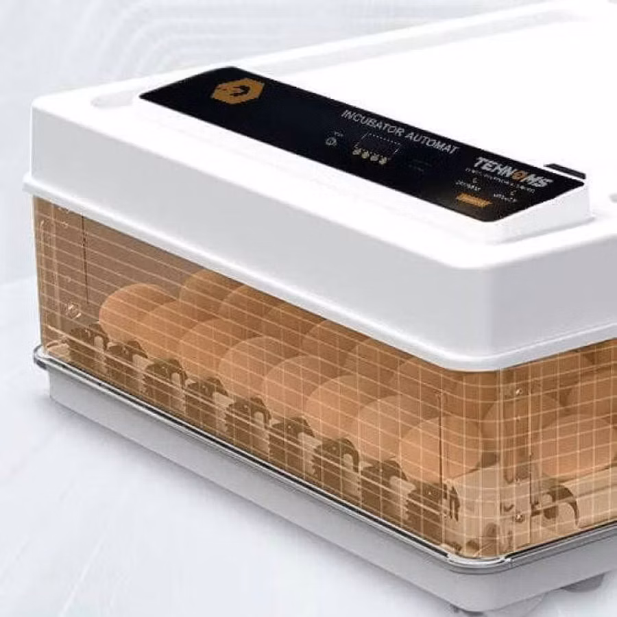 Incubator MS 63