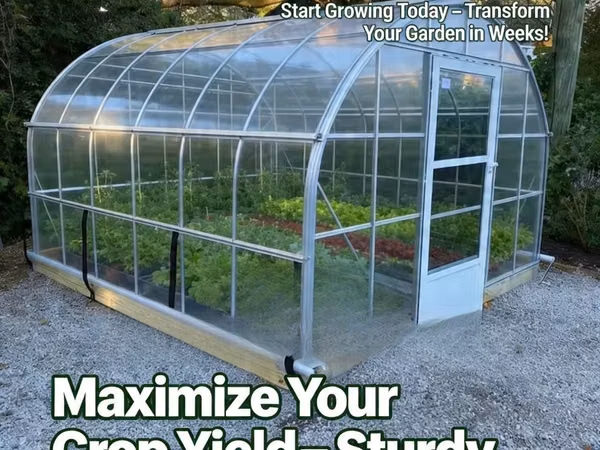 Roll of 50meters Green House