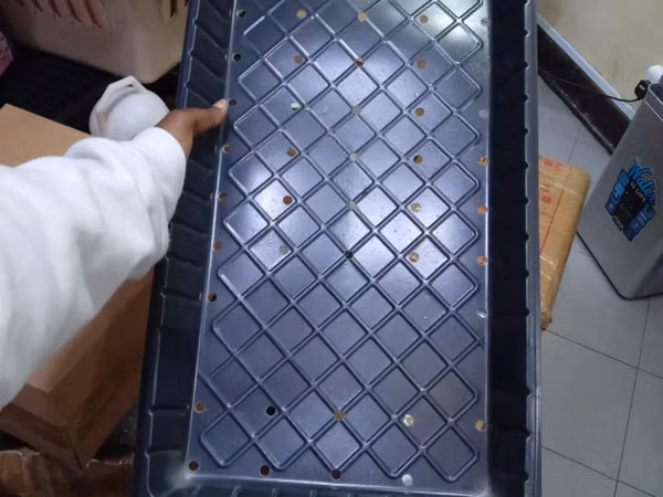 Hydroponic Trays With Fine Drainage Perforations