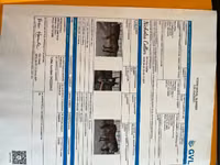 Stute, Appaloosa — Foto 3