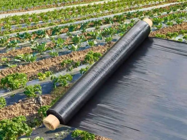 Mulching Net