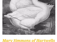 Ducks — الصورة 6