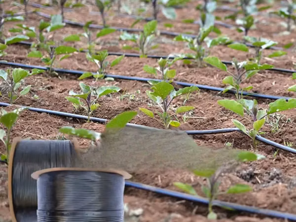 Row Crop Tape